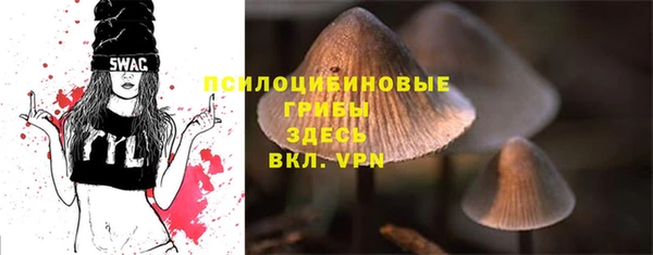 соль ск Абдулино