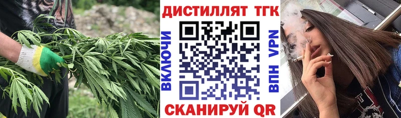 ТГК концентрат  blacksprut ТОР  Каргополь  где купить наркотик 