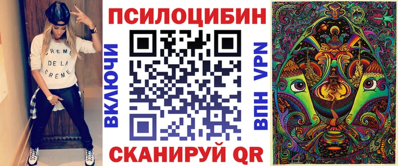 Псилоцибиновые грибы Cubensis  продажа наркотиков  Каргополь 